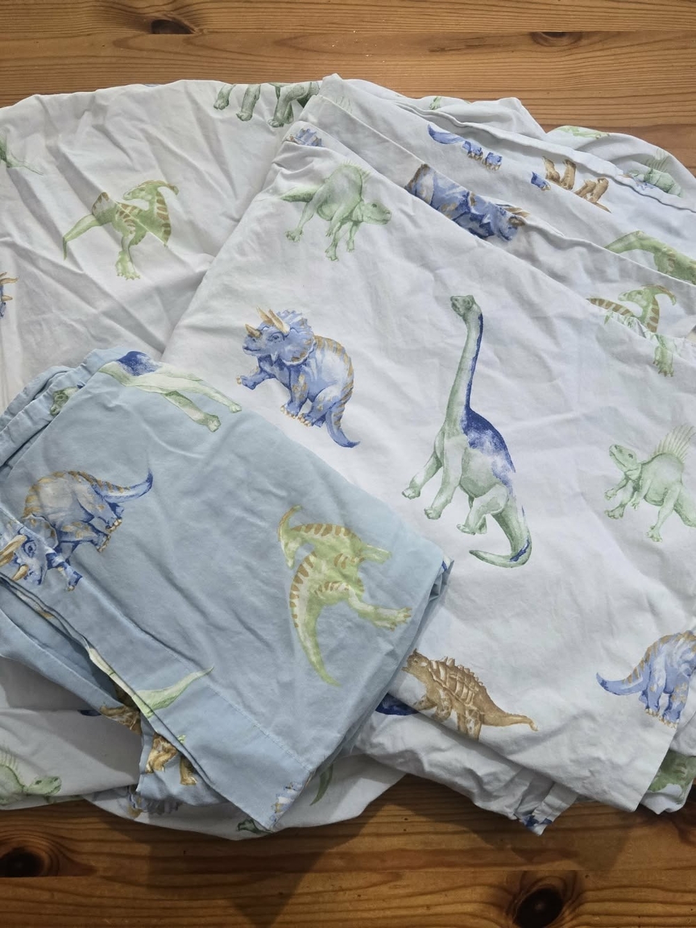 Pottery barn dinosaur bedsheets.